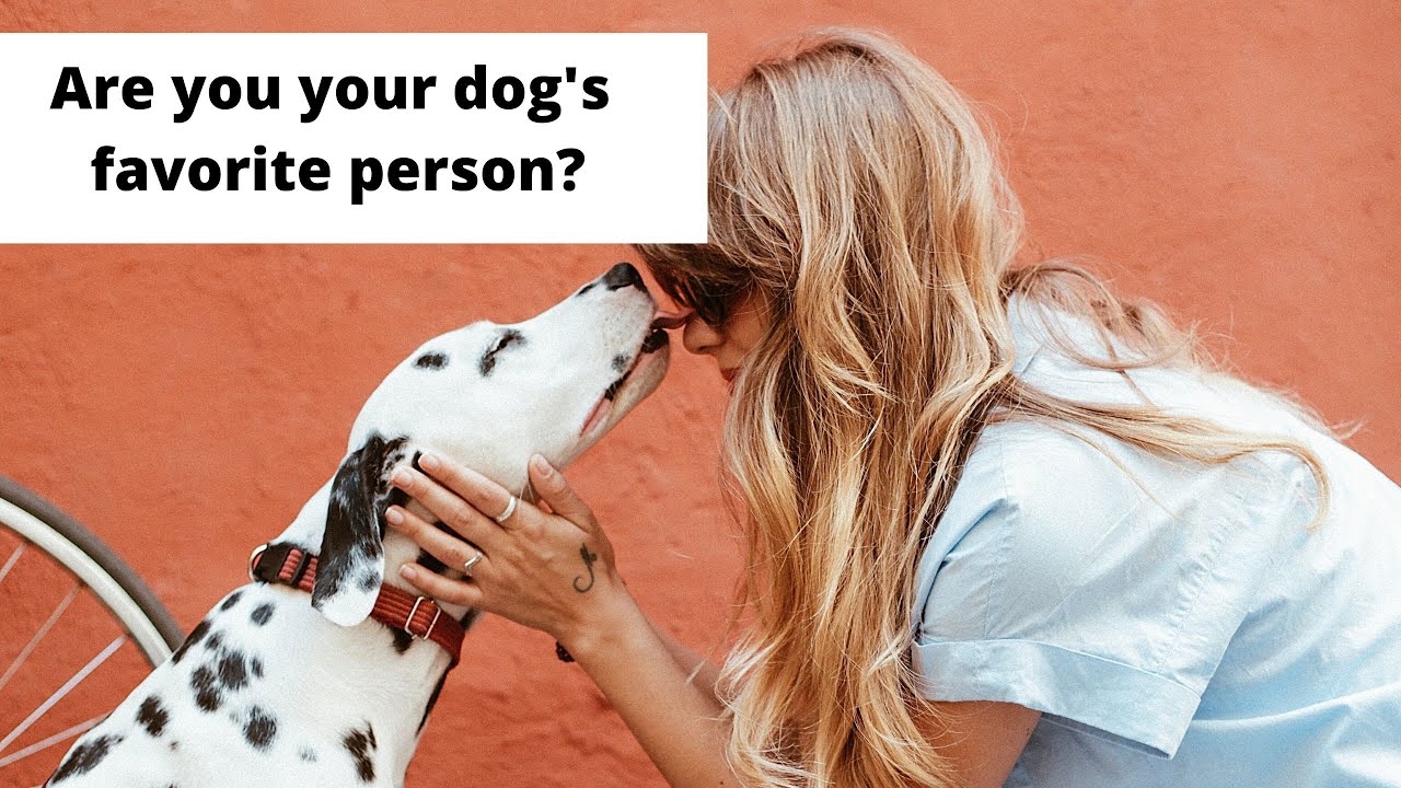 YouTube video preview