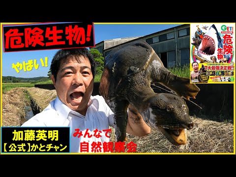 公海上の危険:謎の怪物波が研究者を驚かせる