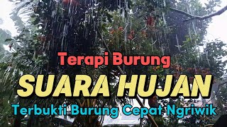 Download lagu Terbukti Ampuh‼️suara hujan untuk terapi burung cepat ngriwik mp3 Download lagu Terbukti Ampuh‼️suara hujan untuk terapi burung cepat ngriwik mp3