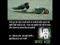 Kabhi Panchiyon Ke Liye Bhi Pani Rakh Do Khushi Milegi
