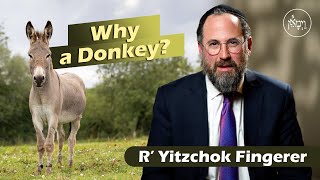 Vayimaen (וימאן) R’ Yitzchok Fingerer  - Why a Donkey