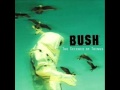 Bush - Learning to swim