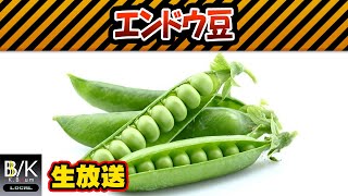 【実況】えんどう豆【生放送】