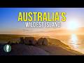 Australia S Natural Wildlife Sanctuary 4K Documentary Kangaroo Island South Australia