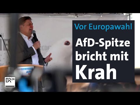 Vor Europawahl: AfD-Parteispitze bricht mit Krah | BR24