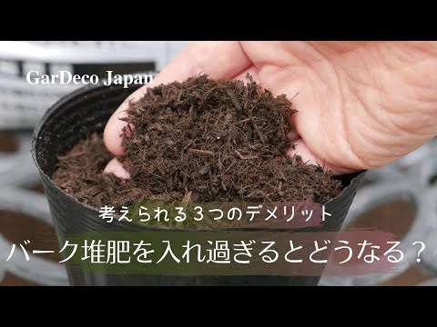 堆肥が良いかどうかはどうやってわかりますか？品質を保証する5つの分析方法  庭園