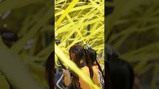 優勝決定の瞬間、黄色いテープに包まれる短今🏆（サミー）#台湾チア #cheerleader 24/10/25【台湾チアTV】