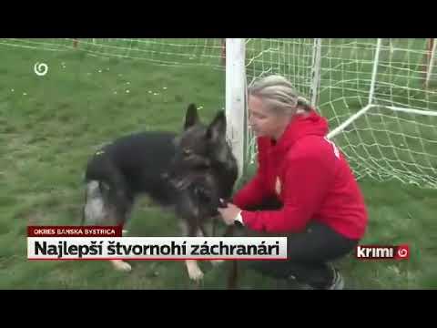 Reportáž TV JOJ - Majstrovstvá SR záchranárskych psov FCI 2022