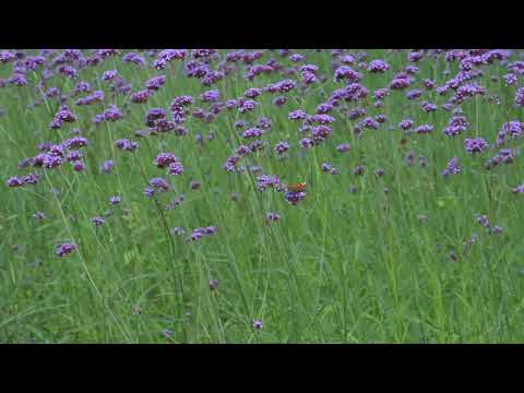 Pole Mokotowskie 05.09.2021