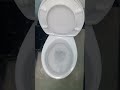 #45. Armitage Shanks Magina Toilet