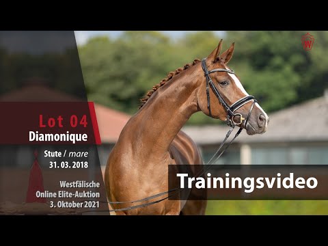 62. Elite-Auktion Training Lot 4 Diamonique v. Don Nobless/Laudabilis