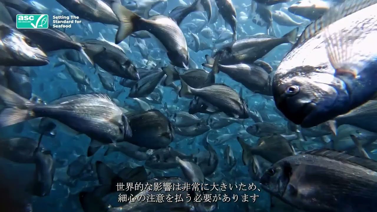 ASCの目指す世界 - Short Version