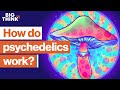 Psychedelics: The scientific renaissance of mind-altering drugs | Sam Harris, Michael Pollan & more