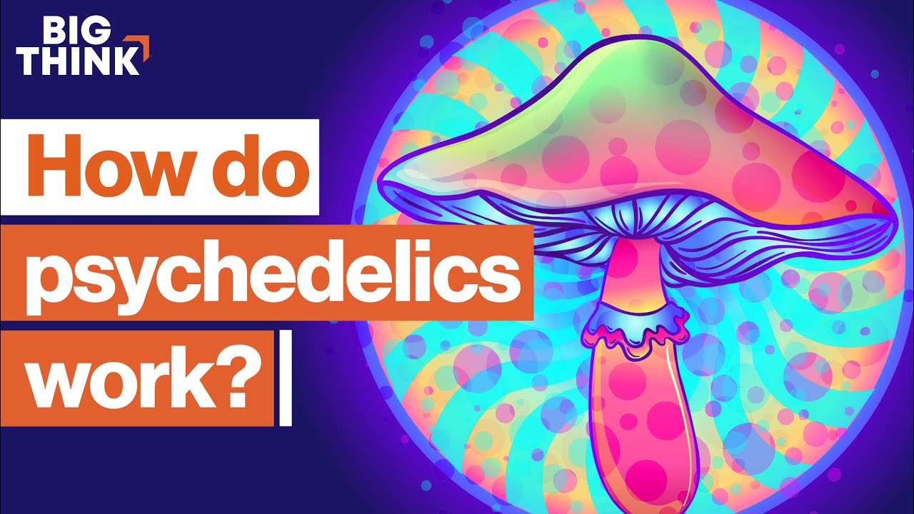 Psychedelics: The scientific renaissance of mind-altering drugs | Sam Harris, Michael Pollan & more