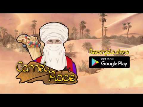 Camel Race Hd - Camel Race - F Video