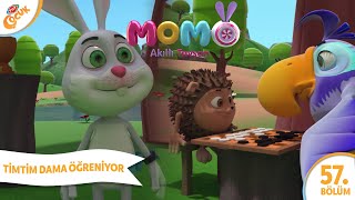 7. Bölüm - TİMTİM DAMA ÖĞRENİYOR