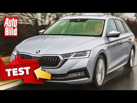 Skoda Octavia IV Combi (2020): Test - Engine - Trunk - Info