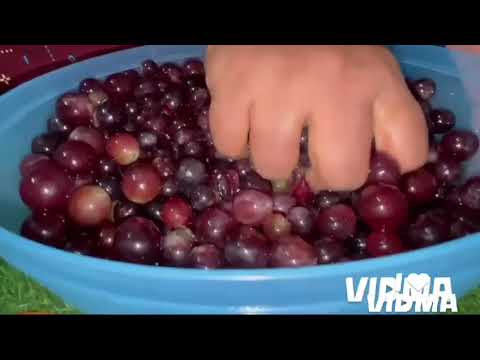 How to make ice cream within 4 ingredients it’s really working guys 😎 plz subscribe