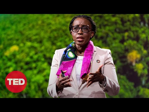 The African swamp protecting Earth's environment