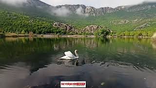 SİS  VE  YEŞİLE   BEZENMİŞ MUHTEŞEM KUGULU TABİAT PARKI