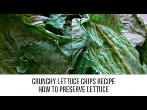 download lagu mp3 mp4 Baked Lettuce Chips, download lagu Baked Lettuce Chips gratis, unduh video klip Baked Lettuce Chips