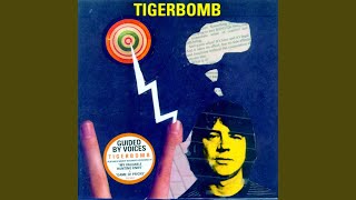 Kiss Only The Important Ones