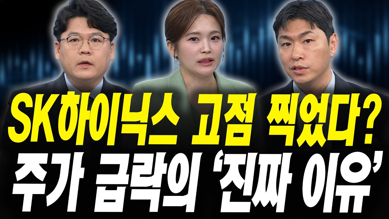 현대차 주가 급락? '진짜 이유' 따로있다 (이창환 iM증권 서울금융센터 이사, 김동윤 타임폴리오자산운용 E