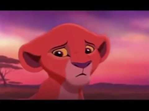 The Lion King 1 and 2 - Héroc