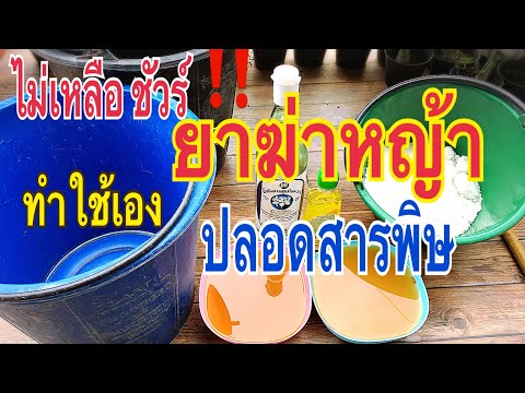 เป็นอวัยวะเพศสามี สุขภาพของโปรแกรมแรงชาย