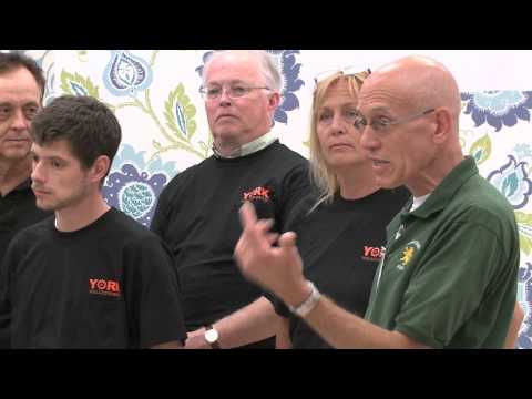 Professional Paperhangers try SureStrip