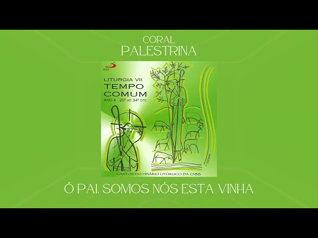 Preview do vídeo
