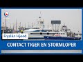 REPO: Contact tussen snelboot Tiger en watertaxi Stormloper