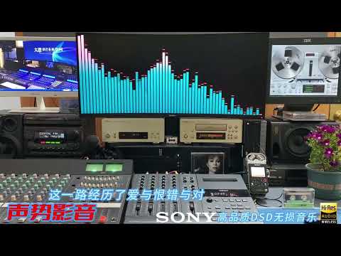 张韶涵新专辑【有形的翅膀】哭完了，再站起来面对，DSD无损。