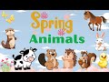 Spring animals and sounds | English for kids