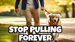 Put An End To Leash Pulling Forever!