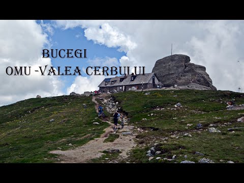 Vârful Omu -Valea Cerbului 🥾🌄🌻🐾
