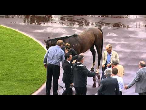 Ascot, 26/03/2016 - Race 4 - ALL GEE - BRIAN KERSLEY & BRAD PARNHAM