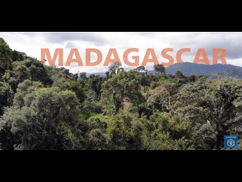 Sustainable wildlife management near Makira Natural Park, Madagascar