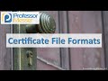 Certificate File Formats - CompTIA Security+ SY0-501 - 6.4