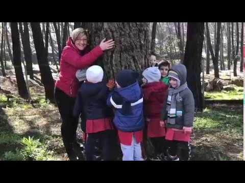 Istituto Comprensivo Cordova- Capuana   - Passeggiata al bosco Bellia