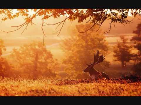 Aivars Kalējs - Choral Sonata for organ (LIVE)