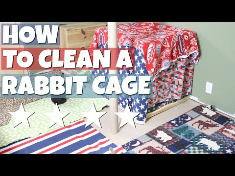 How I Clean My Bunny Pens