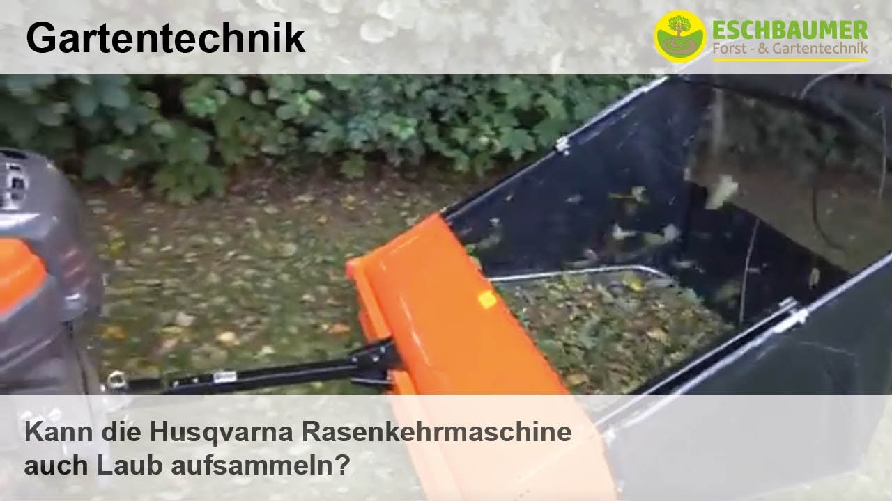 Videovorschau
