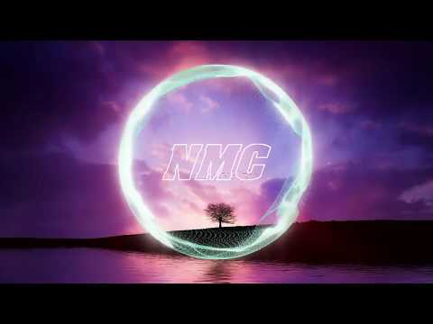 Best Of EDM l Warriyo - Mortals (feat. Laura Brehm) l NMC l