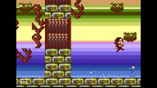 The Lands of Zador [Commodore Plus/4 game]