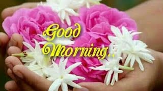 GOOD MORNING video with love song