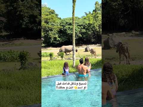تخطوا فوبيا الحيوانات ب بالي 🔥😍 #viralvideo #اكسبلور #explore #trending