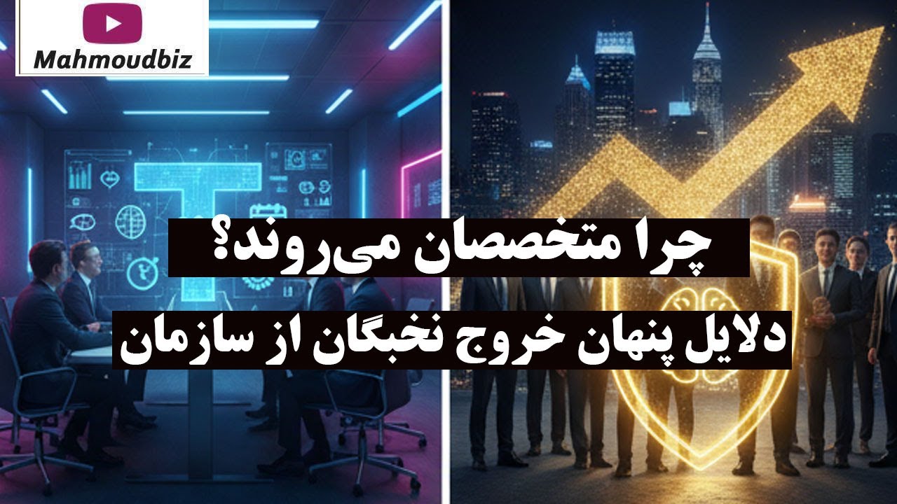 چرا متخصصان می‌روند؟ ۳ دلیل پنهان خروج نخبگان از سازمان و استراتژی ساخت EVP شک