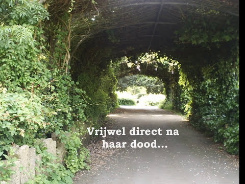 'Mijn naam was Sylvia' - Boektrailer