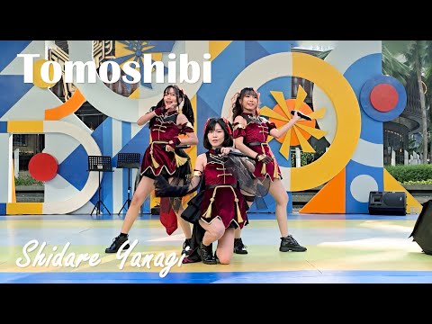 Tomoshibi - Shidare Yanagi @ JK-Pop Fusion // 15.06.2024